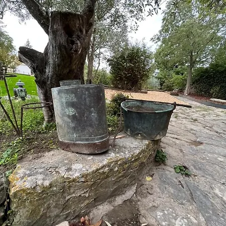 Le Mazet De L'isle Sur La Sorgue Villa *